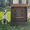 a cute dog on a lawn